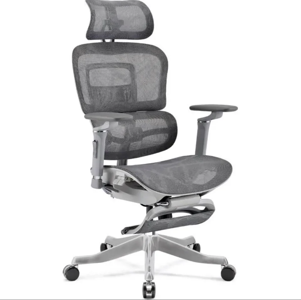 Ergonomic Office Chair 6D Armrest, Lumbar Support, Adjustable Head Rest, Retractable Foot Rest