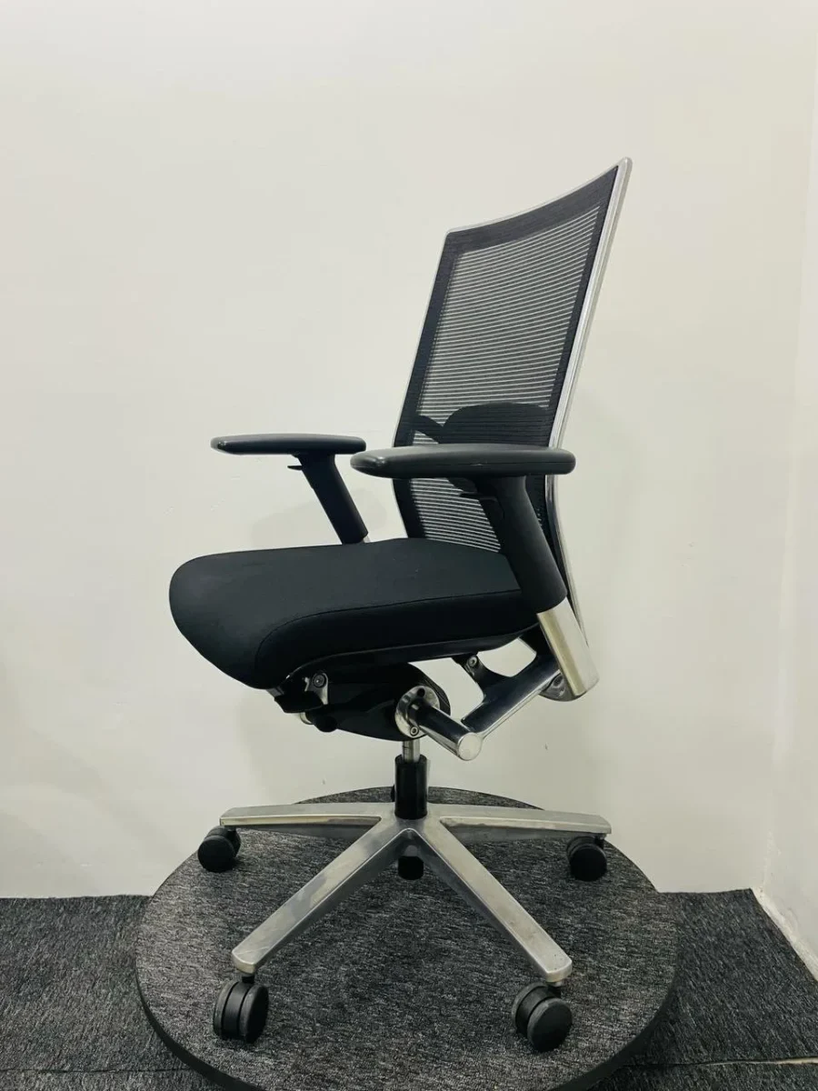 Euro Senses Ergonomic Chair