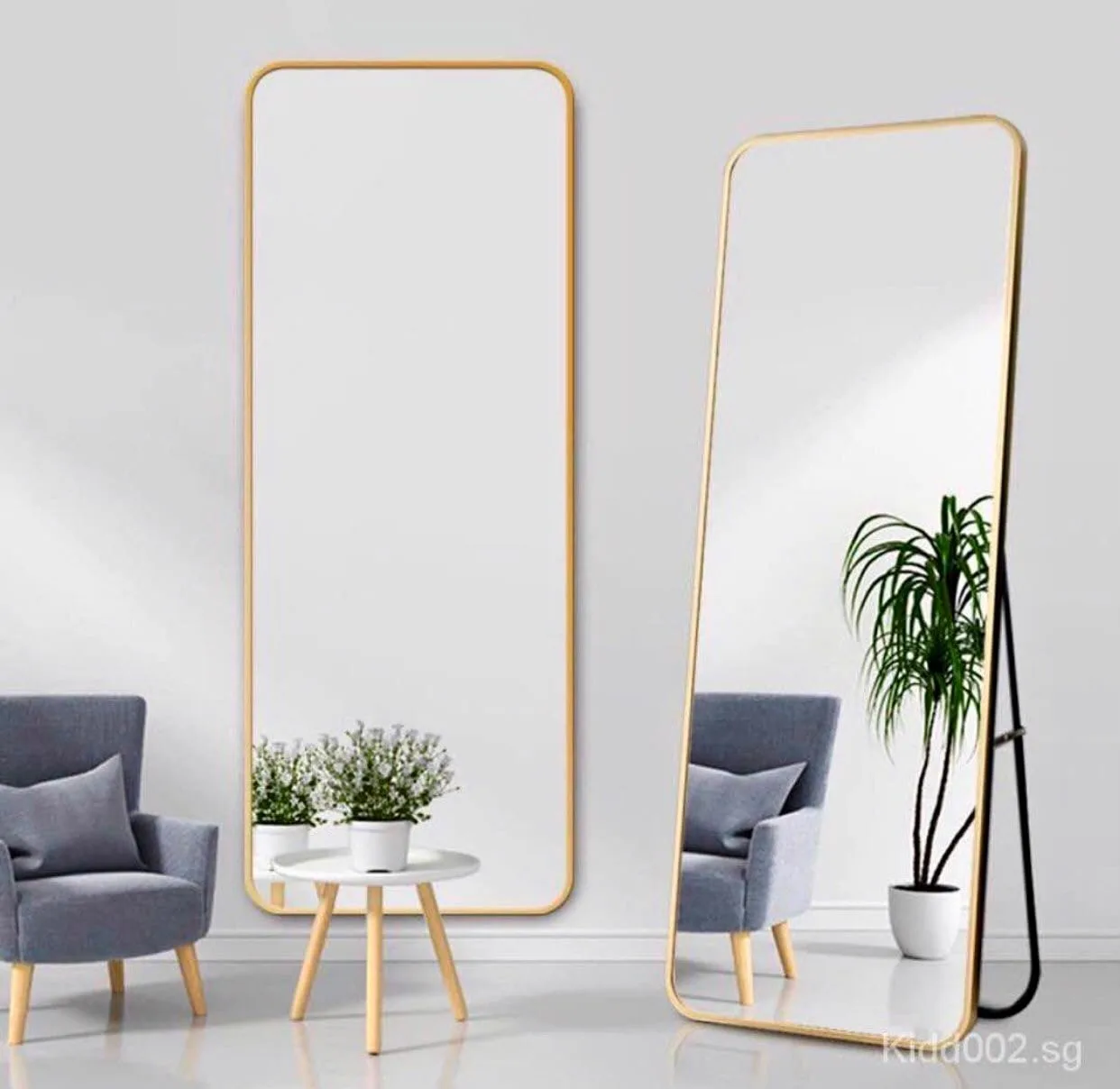 Full Length Mirror(Standing Or Wall), Front
