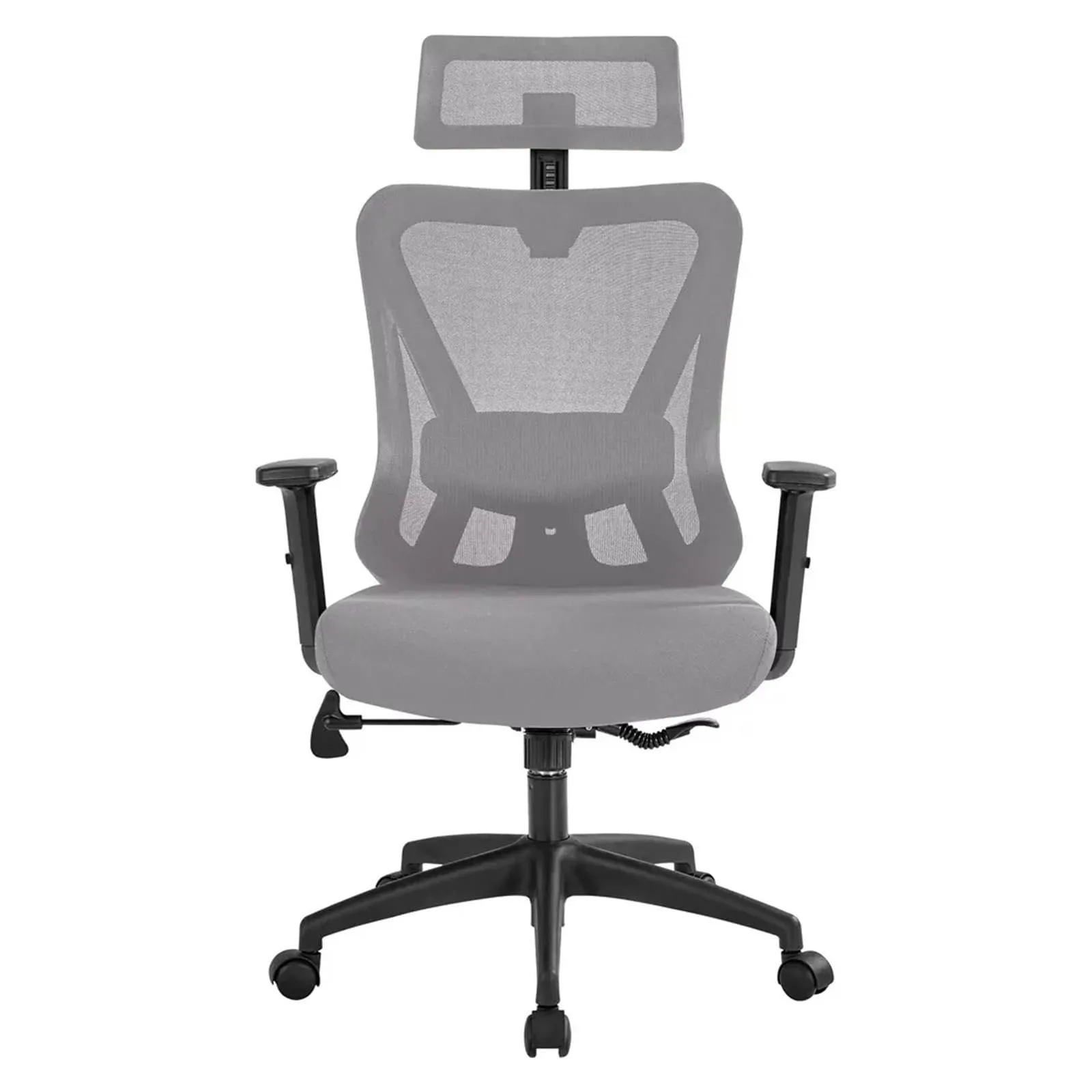 Office Chair Ergonomic Desk Gray Chair Adjustable Lumbar Support Headrest Armrest, Front
